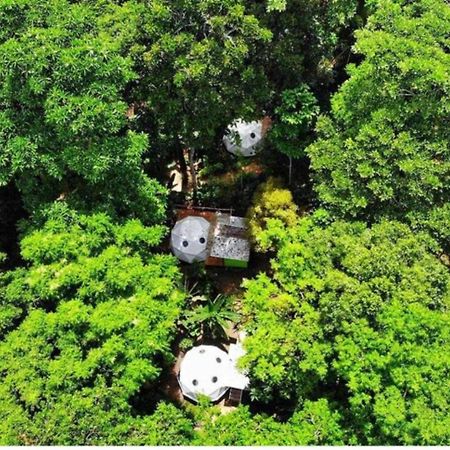 曼萨尼约 Faith Glamping Dome Costa Rica酒店 外观 照片