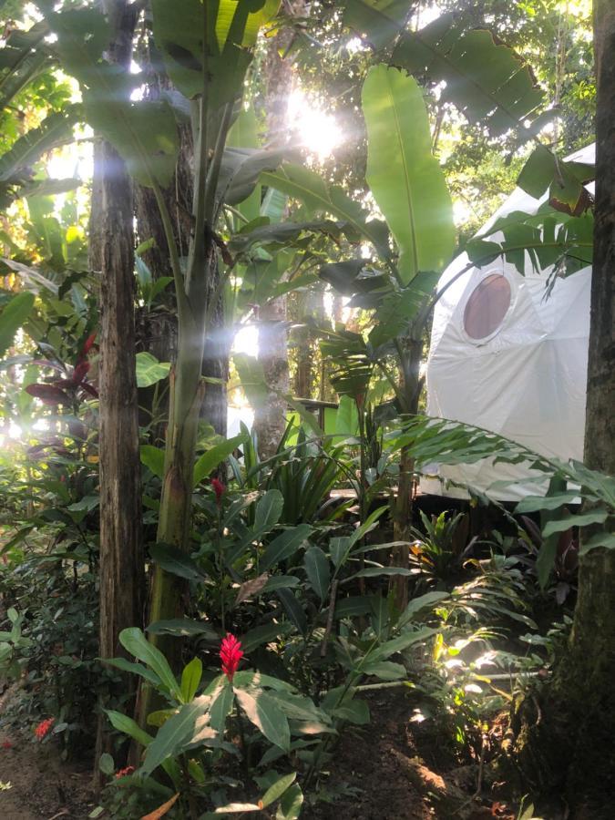 曼萨尼约 Faith Glamping Dome Costa Rica酒店 外观 照片