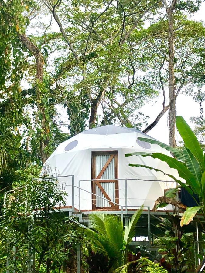 曼萨尼约 Faith Glamping Dome Costa Rica酒店 外观 照片