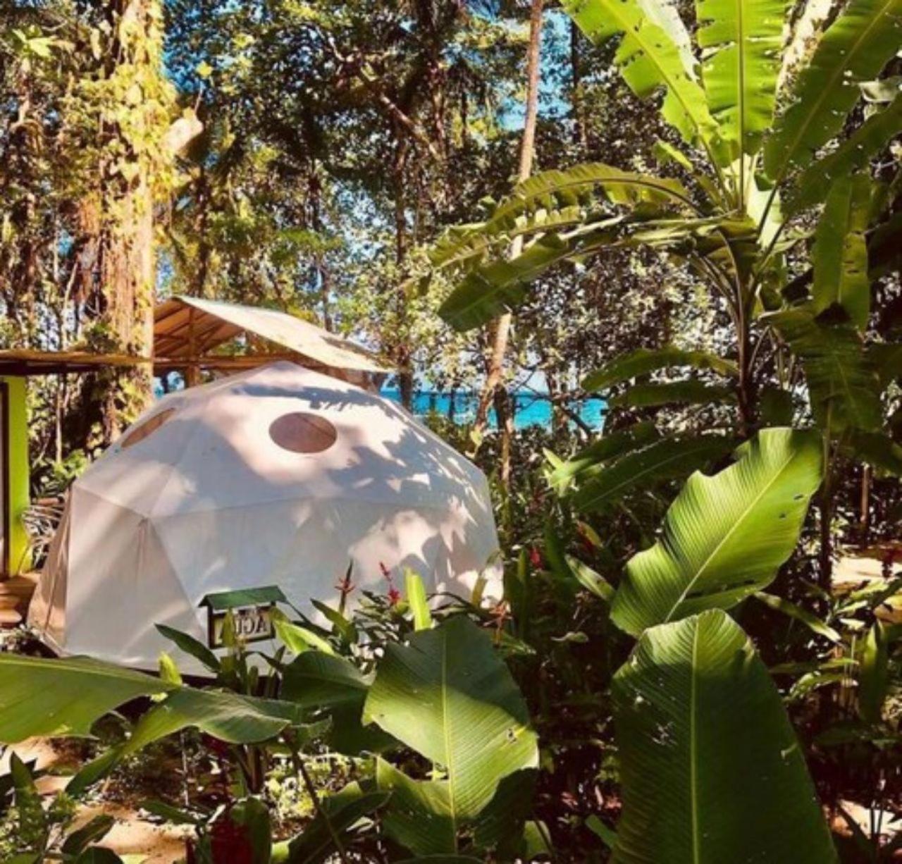 曼萨尼约 Faith Glamping Dome Costa Rica酒店 外观 照片
