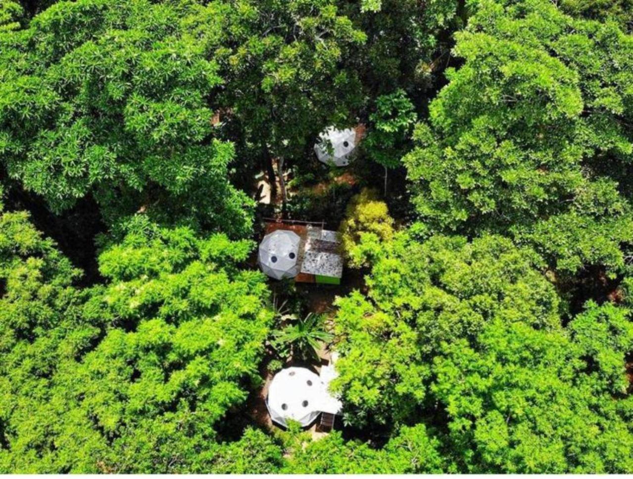 曼萨尼约 Faith Glamping Dome Costa Rica酒店 外观 照片