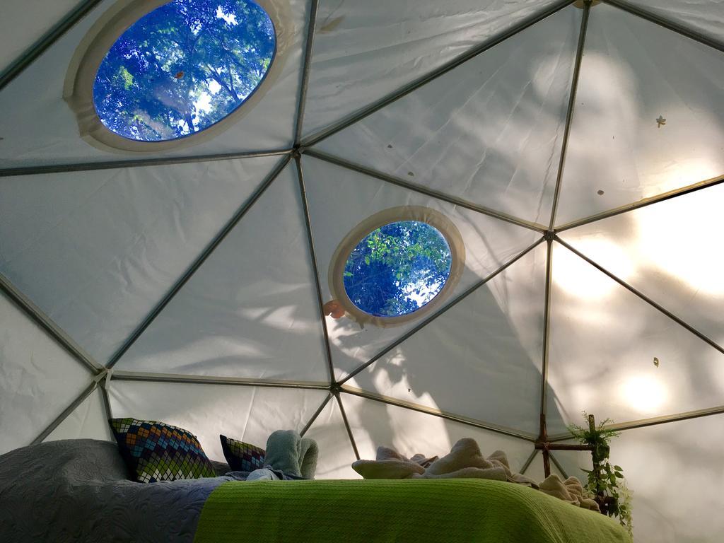 曼萨尼约 Faith Glamping Dome Costa Rica酒店 外观 照片