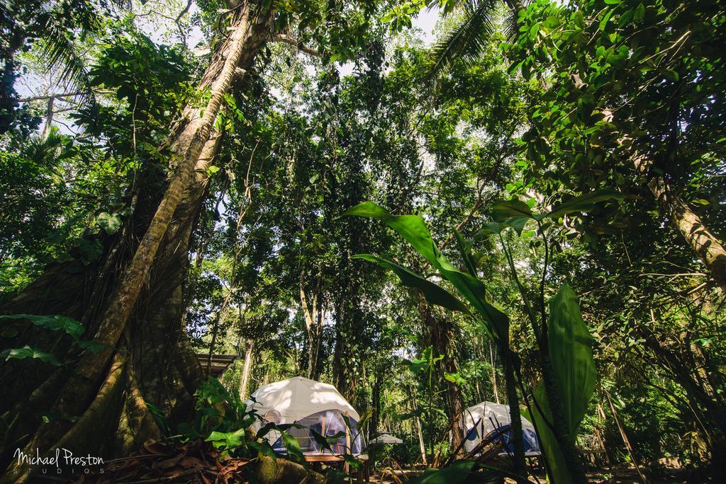 曼萨尼约 Faith Glamping Dome Costa Rica酒店 外观 照片